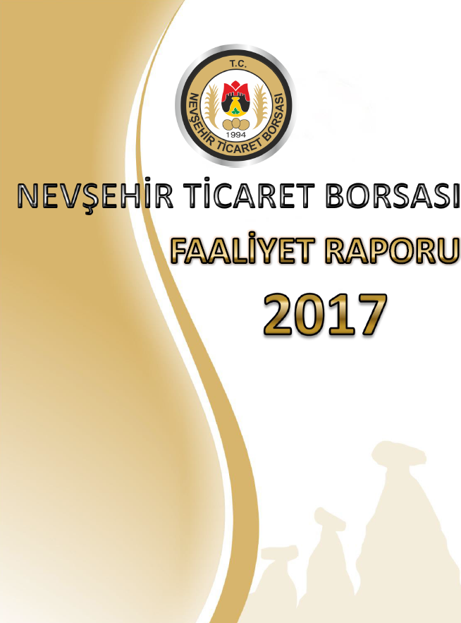 FAALİYET RAPORU 2017