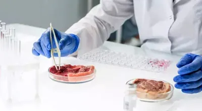 Gıda Laboratuvarı