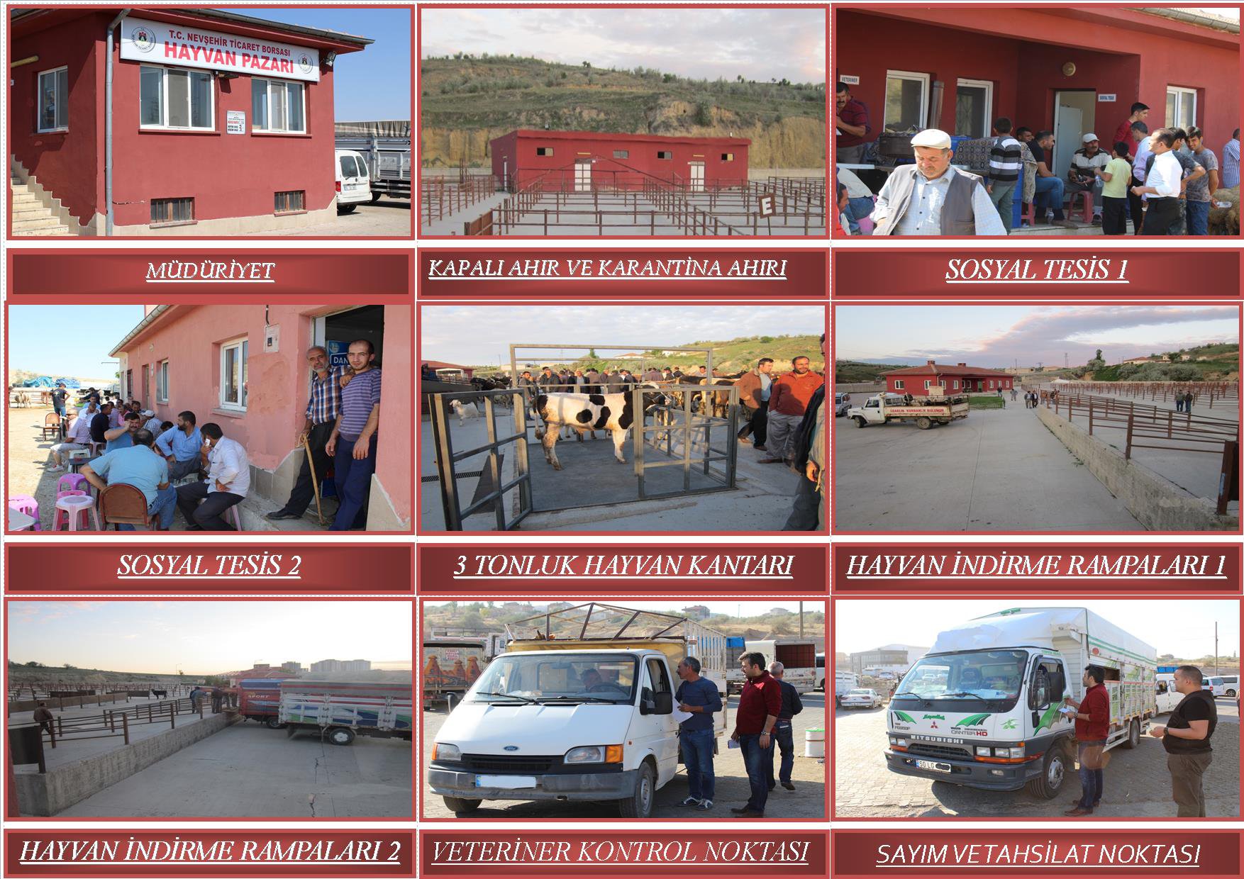 Hayvan Pazarı