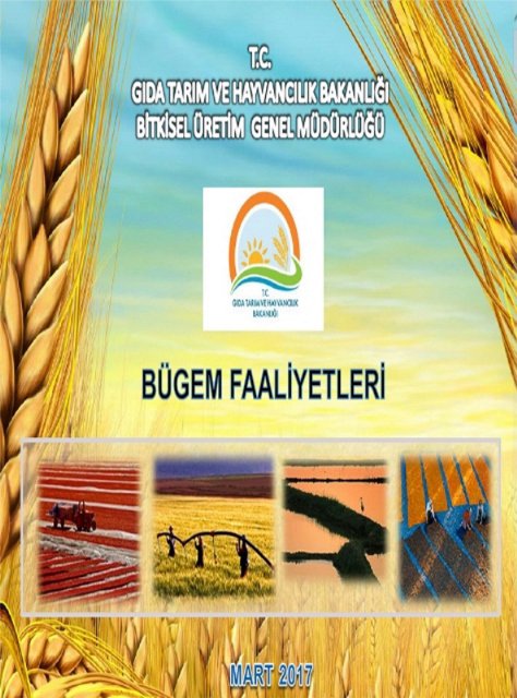 BİTKİ ÜRETİM GENEL MÜDÜRLÜĞÜ BUGEM 2017