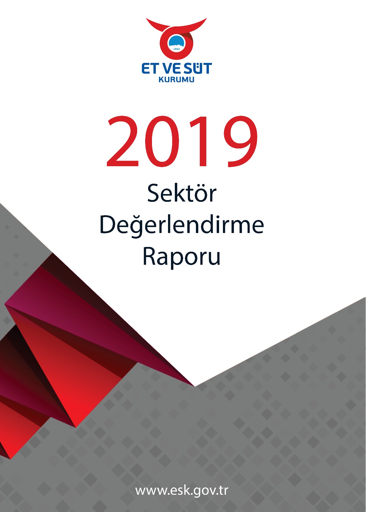 ESK DEĞERLENDİRME RAPORU 2019