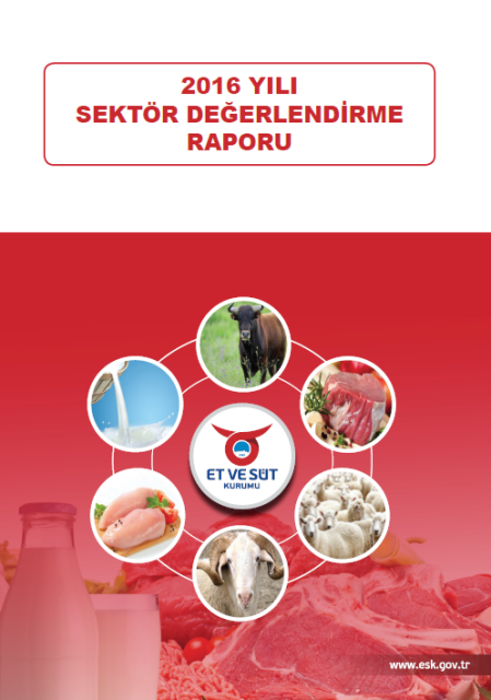 ESK SEKTÖR DEĞERLENDİRME RAPORU 2016