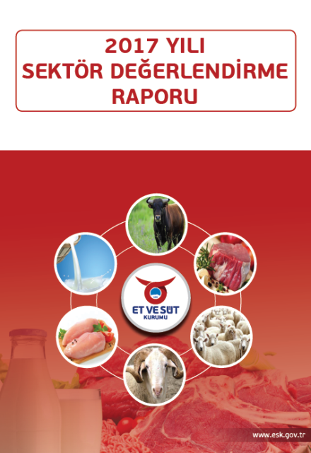 ESK SEKTÖR DEĞERLENDİRME RAPORU 2017