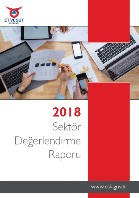 ESK SEKTÖR DEĞERLENDİRME RAPORU 2018