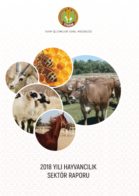 TİGEM HAYVANCILIK SEKTÖR RAPORU 2018
