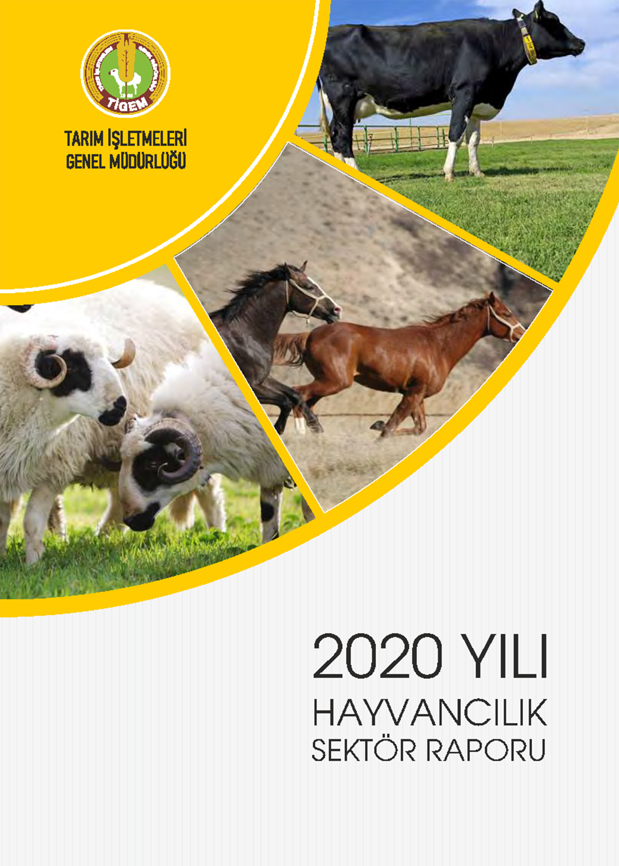 TİGEM HAYVANCILIK SEKTOR RAPORU 2020