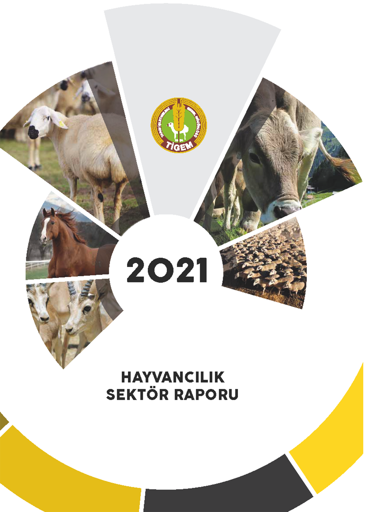 TİGEM HAYVANCILIK SEKTOR RAPORU 2021