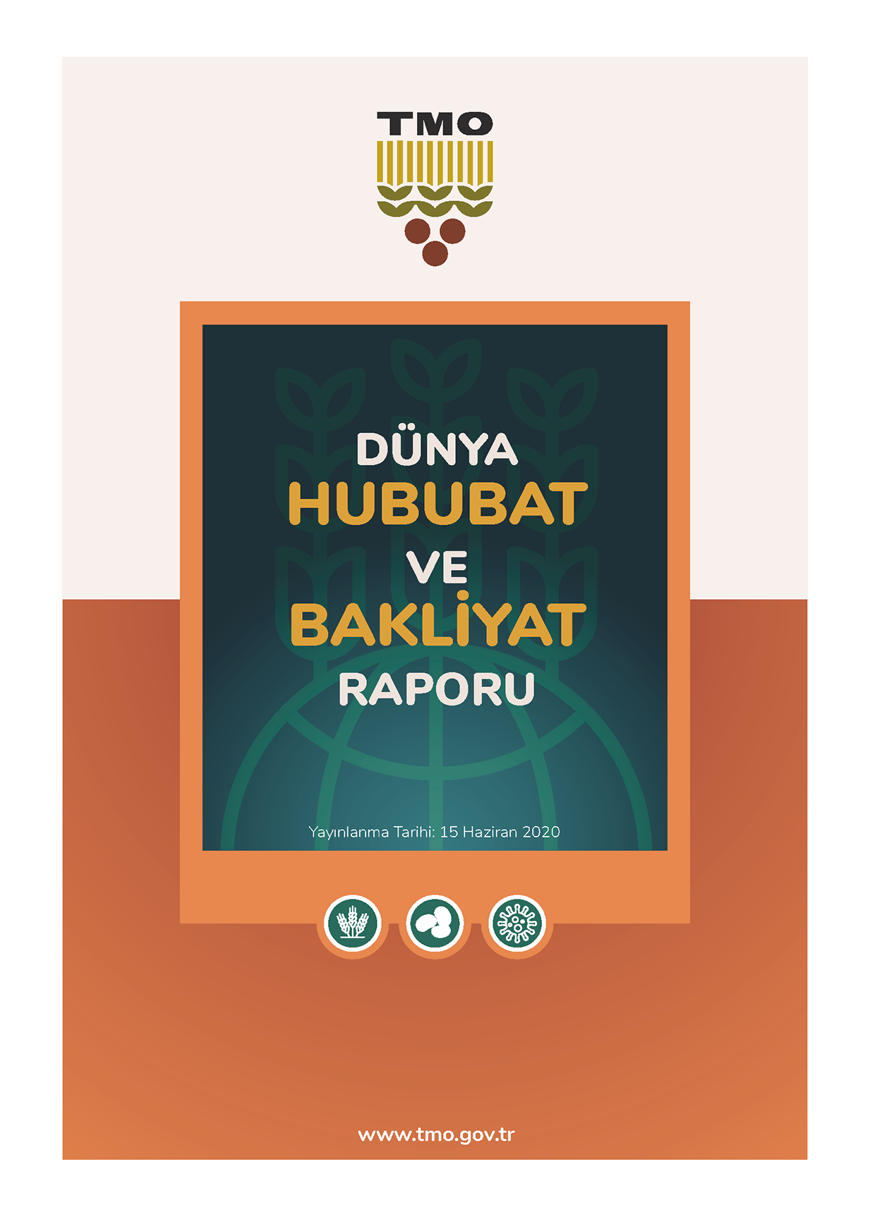 TMO DÜNYA HUBUBAT RAPORU 2020