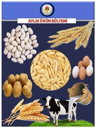 2024 Mayıs Ayı Bülteni