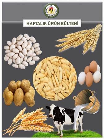 1.HAFTA
