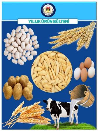 2021 Yılı Bülteni