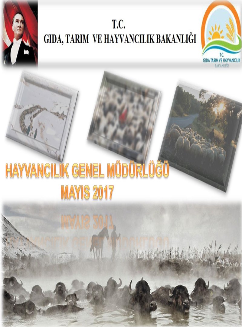 HAYVANCILIK GENEL MÜDÜRLÜĞÜ VERİLERİ 2017