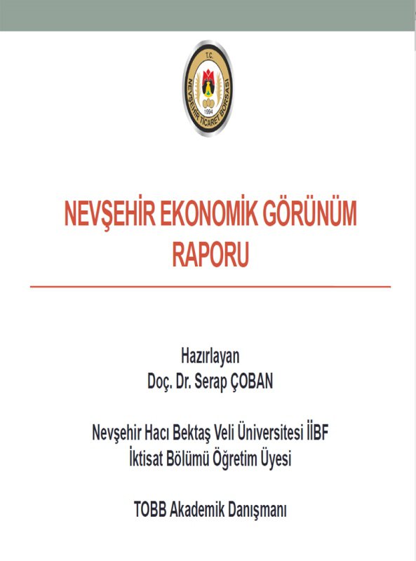 NEVŞEHİR EKONOMİK GÖRÜNÜM RAPORU 2019
