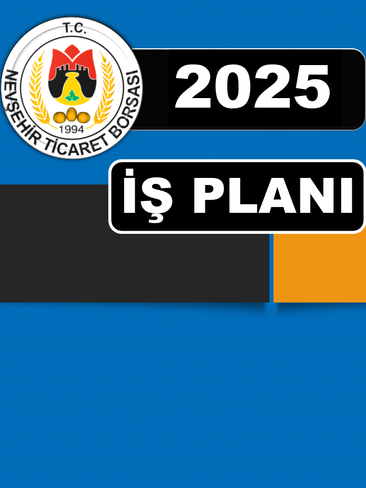 İŞ PLANI 2025